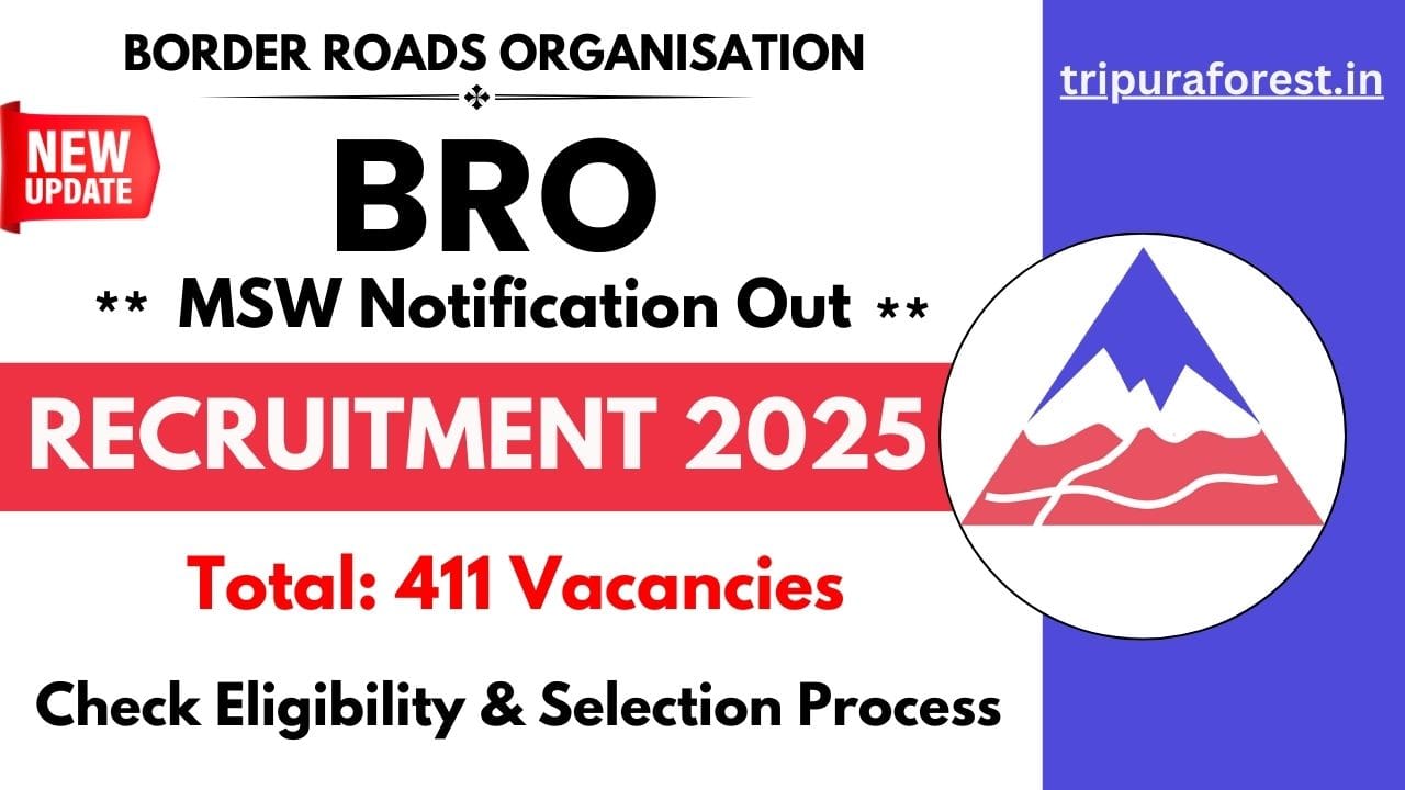 BRO MSW Recruitment 2025 Apply for 411 Posts