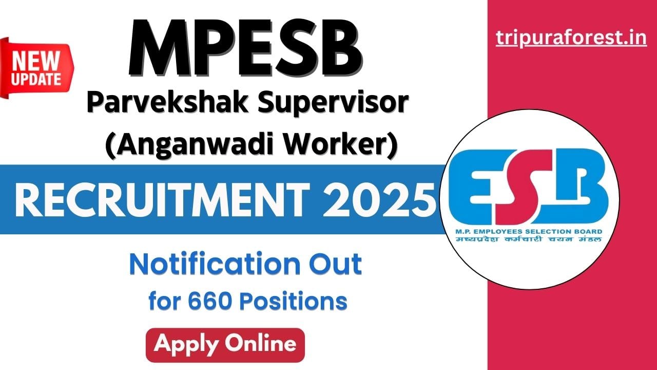 MP Anganwadi Supervisor Recruitment 2025
